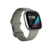 Часовник Fitbit Sense Sage Grey Silver Stainless Steel