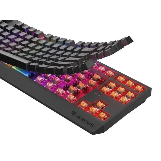 Клавиатура Genesis Gaming Keyboard Thor 230 TKL