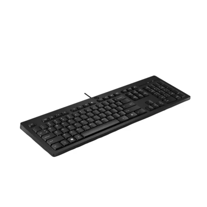 Клавиатура HP 125 Wired Keyboard