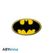 Комплект ABYSTYLE DC COMICS - Pck XXL glass + Pin