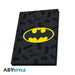 Комплект ABYSTYLE DC COMICS - Pck XXL glass + Pin