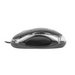 Мишка Natec Mouse Vireo 2 1000 DPI Optical Black