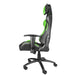 Стол Genesis Gaming Chair Nitro 550 Black - Green